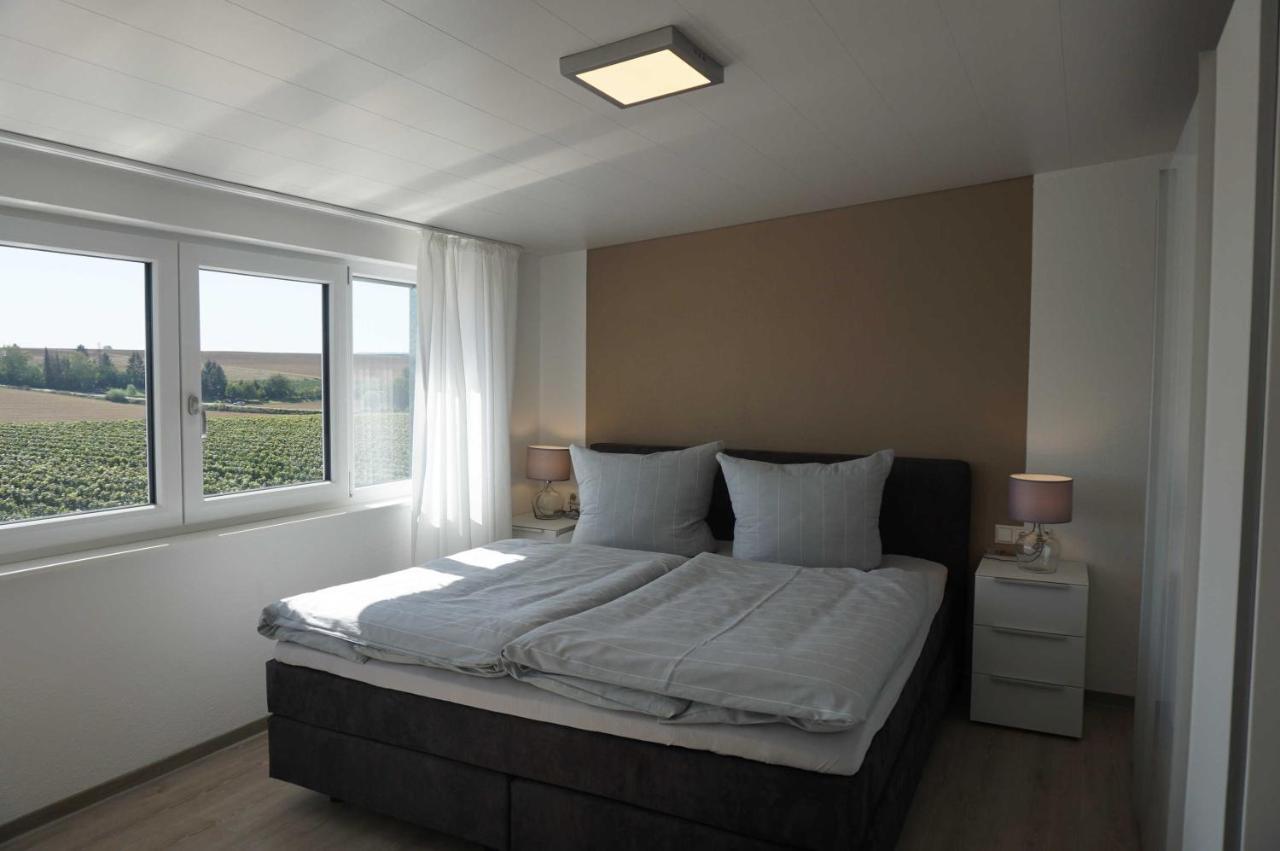 Weingut Schaaf Apartamento Lauffen am Neckar Exterior foto